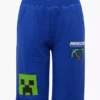 Minecraft Shorts